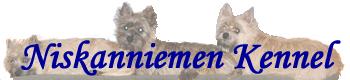 Niskanniemen Kennel
